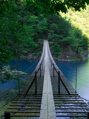 Obraz premium OLYMPUS DIGITAL CAMERA