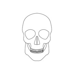 Icon human skull isolated on a white background