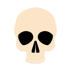 Icon human skull isolated on a white background