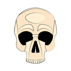 Icon human skull isolated on a white background