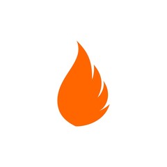 Nature Flame Wing Icon Logo Vector