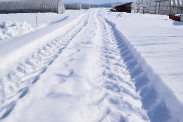 Fototapeta premium 雪国の道路