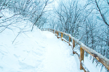 Footpath under snow in nature park Plitvice, Croatia 