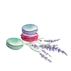 Watercolor macaroons and lavender flowers. Hand painted food objects and field plants isolated on white background. Dessert illustration