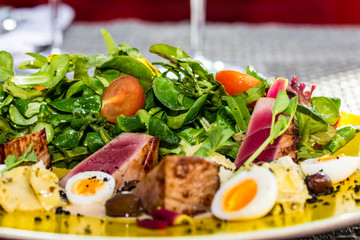 Salad with grilled tuna, greens, tomatoes and egg.