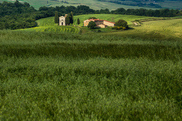 Tuscany landscape with a little chapel of Madonna di Vitaleta, San Quirico d'Orcia, Italy