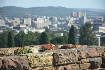 A flower bed overlooking Pretoria, South Africa