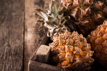 ripe pineapples on wooden background in tropical theme
