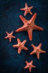 Red starfish frame with space on dark blue old background. Summer holiday concept