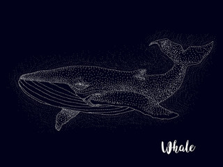 Fototapeta premium whale, constellation , vector graphics