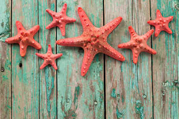 Fototapeta na wymiar Shell and starfish frame with space on wooden old background. Summer holiday concept