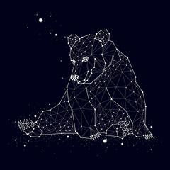 Bear constellation vector