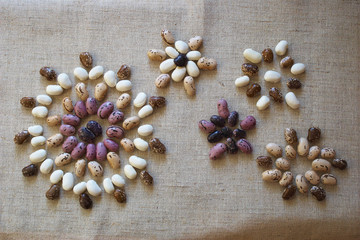 beans of different varieties
