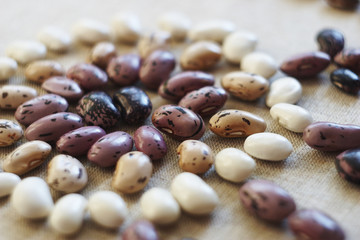 beans of different varieties
