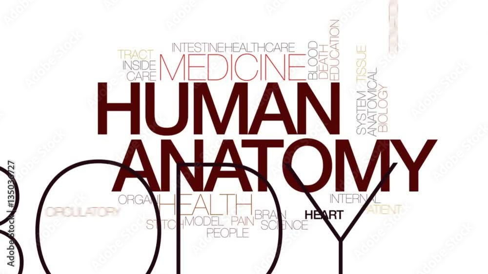 Sticker human anatomy animated word cloud, text design animation. kinetic typography.