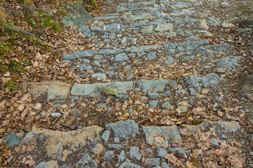 Stone steps and leaves in autumn
