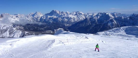 mountain view (Dolomites Alps Italy)