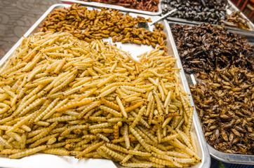 fried insect street food