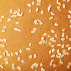 Burger bun texture fragment