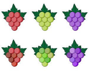 Colorful grape set