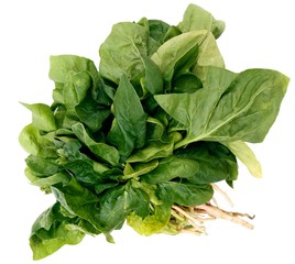 bunch of  green spinach
