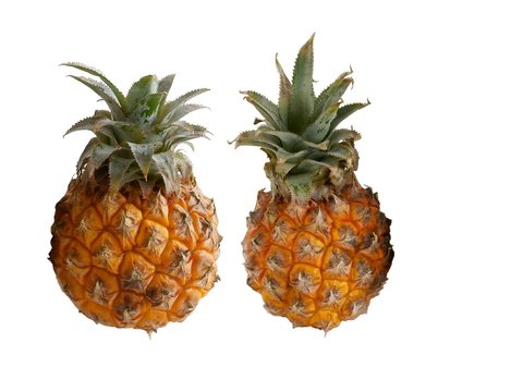 pineapples as tasty tropical fruits