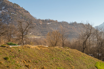 Fototapeta na wymiar mountain landscapes with trees and snow