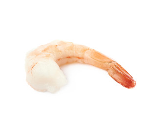Single shrimp isolated
