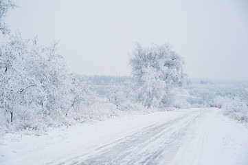 Dirt road in the forest in winter