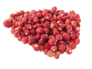 wild strawberries from my garden