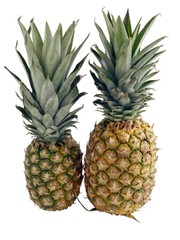 Fototapeta premium pineapples as tasty tropical fruits