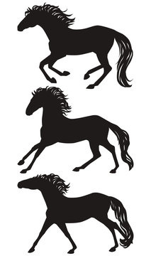 Vector running horses silhouettes set. Isolated galloping group of a horses, black on white