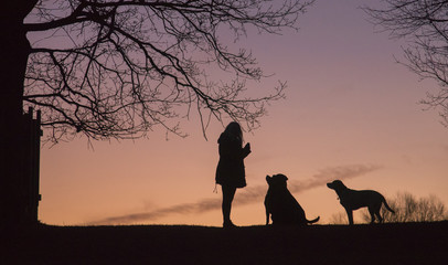 woman and her dogs