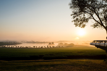 Morning light at Singha Park