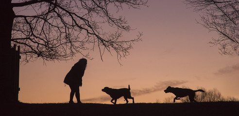 Fototapeta na wymiar woman and her dogs