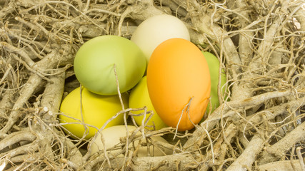 Osternest-Weidenzweige und Ostereier