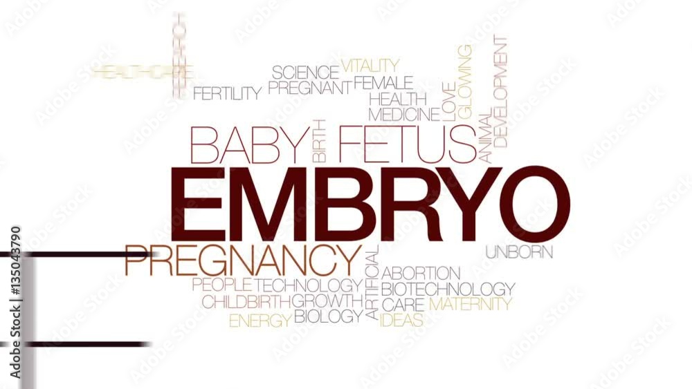 Poster Embryo animated word cloud, text design animation. Kinetic typography.