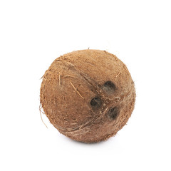 Single whole coconut isolated