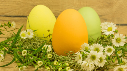 Ostereier im Nest aus Gras und Blumen