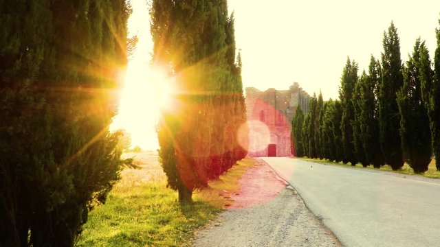 Country road in a small Tuscan village

Shooting on the move with the slider between the trees Chiusdino