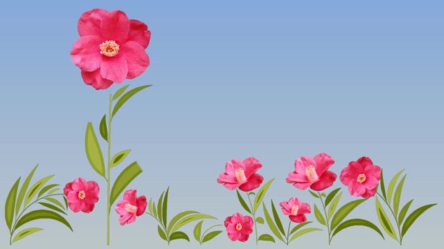 Flowers animation background. 4K Resolution (Ultra HD).