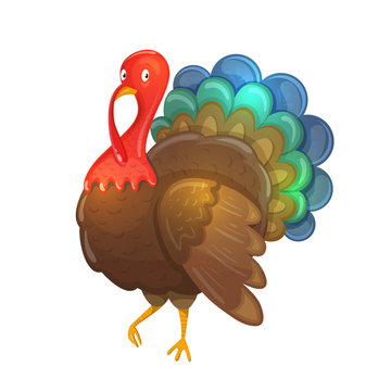 Colorful cartoon illustration of turkey, traditional thanksgiving symbol. Vector.