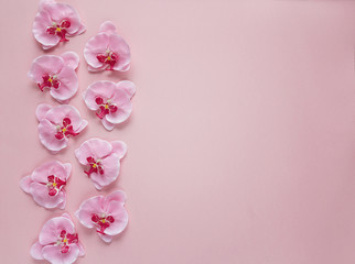 Border of rosy orchid flowers on pink background. Place for text