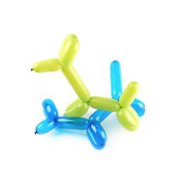 Puppy made of modelling balloon