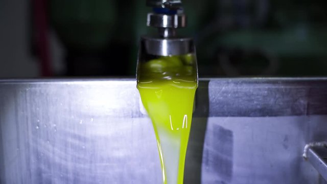 Olive Oil Production and Process