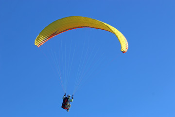 Paraglider