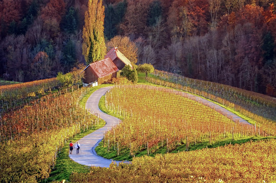 Famous Heart shaped wine road in Slovenia in autumn, Herzerl Straße with two walkers in sunset, surrounded with vineyards with yellow and orange coloured foliage in autumn; Herzerl Straße, Dreisiebner
