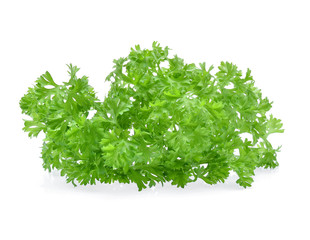 parsley isolated on white background