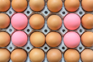 Abstract egg of chicken background