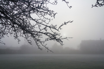 Frost and Mist